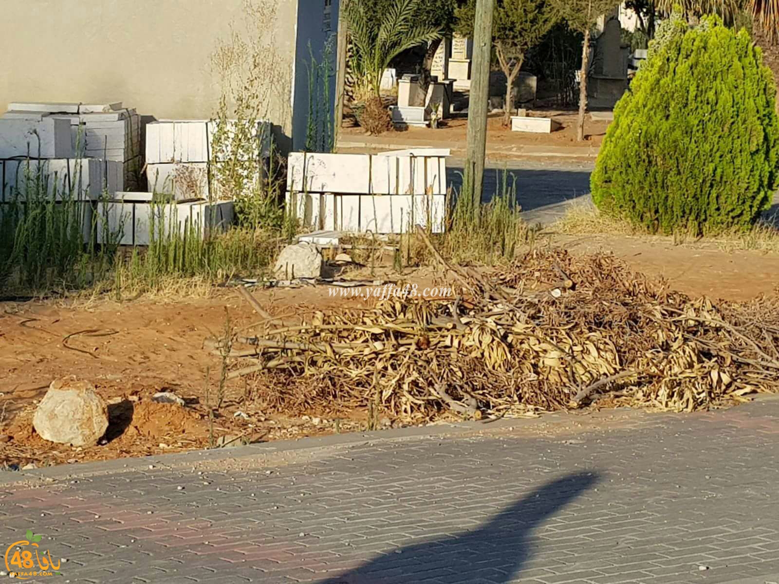 ramla maqbaraja (10).jpg